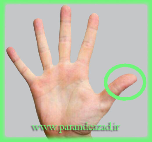 فشاردرمانی,یوگا,یوگاکرج,یوگا کرج,ماساژدرمانی,بازتاب درمانی,کلاس یوگا,یوگا استان البرز,آرامش,سلامتی,باشگاه یوگا پرنده آزاد,